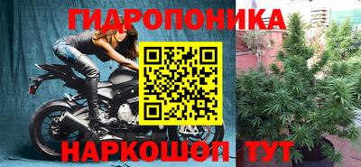 прущая мука Жуковский