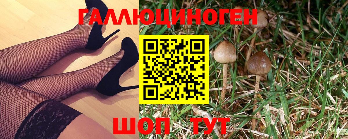 Псилоцибиновые грибы Psilocybine cubensis Кирово-Чепецк