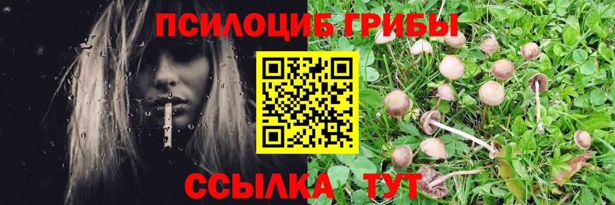 Кирово-Чепецк  Псилоцибиновые грибы GOLDEN TEACHER  Вход с VPN 